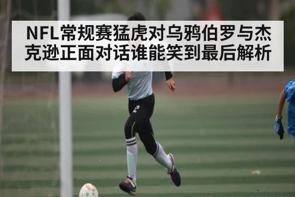 NFL常规赛猛虎对乌鸦伯罗与杰克逊正面对话谁能笑到最后解析